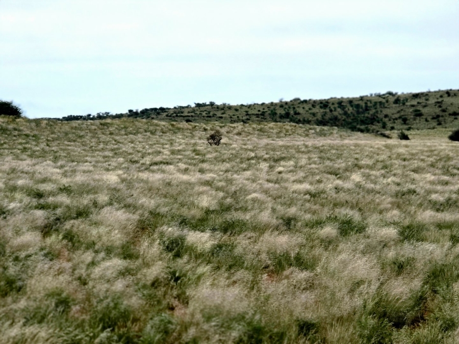 Commercial Property for Sale in Griekwastad Rural Northern Cape